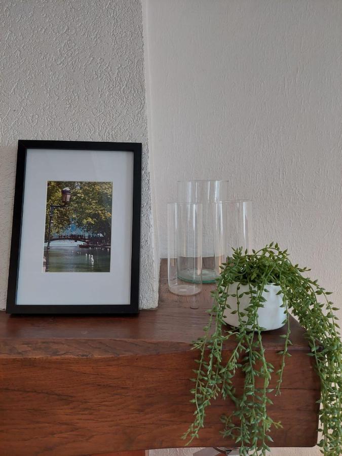 Le Vintage - Appartement En Plein Coeur De La Vieille Ville Annecy Ngoại thất bức ảnh